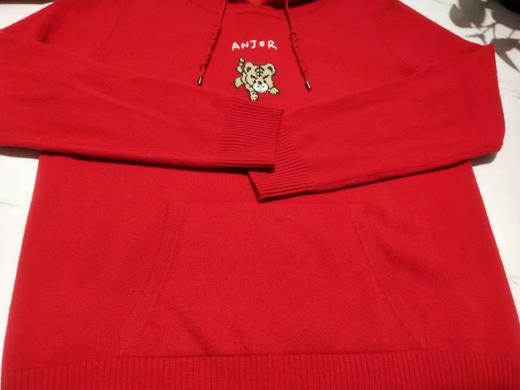 恩佐羊绒衫气质帽衫 商品图1