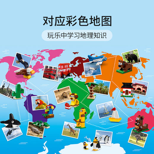 乐高LEGO 环球动物大集合 LEGC11015 商品图3