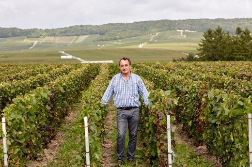 Egly-Ouriet Brut Les Prémices 欧格丽初酿干型香槟 商品图6