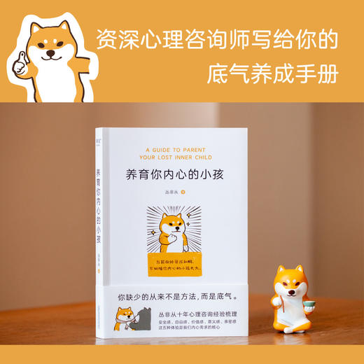 养育你内心的小孩 商品图1