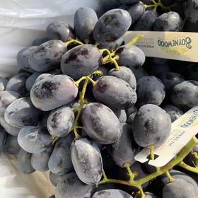 新疆紫甜葡萄/5盒（300g/盒）