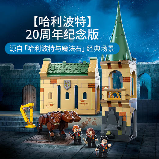 乐高LEGO 霍格沃兹扩展套装 LEGC76387 商品图4