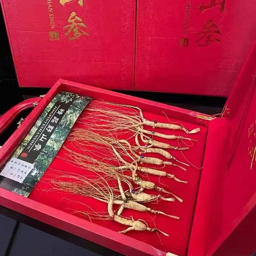 【自营】林下参红礼盒10支 商品图1