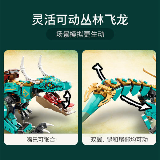 乐高LEGO 丛林飞龙 LEGC71746 商品图2