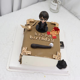 哈利波特的魔法书（可以更换赫敏）