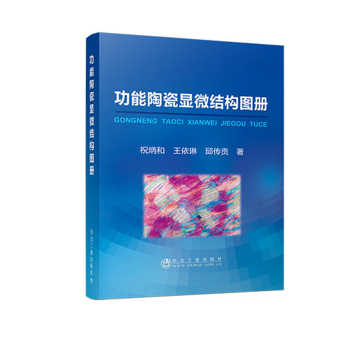 功能陶瓷显微结构图册/祝炳和,王依琳,邱传贡 商品图0