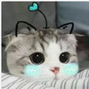测试小EeEEEEEE 商品缩略图0