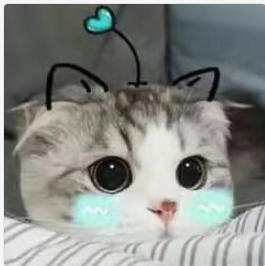 测试小EeEEEEEE 商品图0