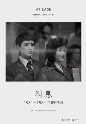 稍息 : 1981—1984年的中国