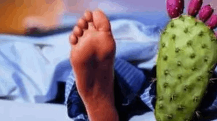 年轻轻的，痛风为什么会找上我？ 