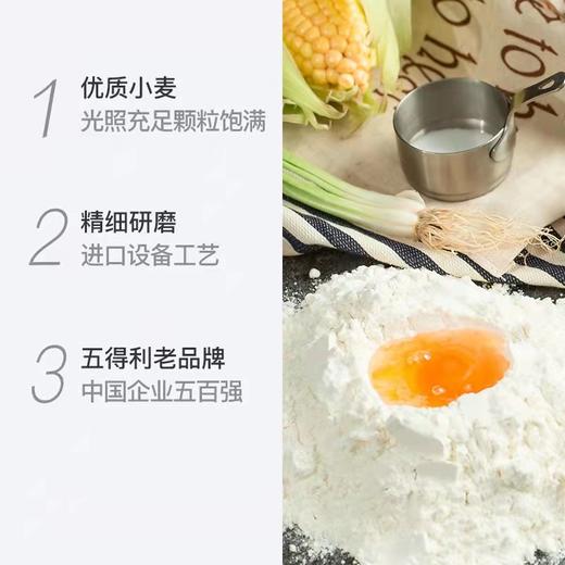 25kg五得利五星金特精小麦粉 商品图1
