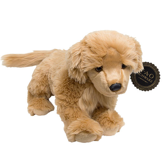 Discovery   毛绒小狗  TSFC6000087玩偶 商品图0