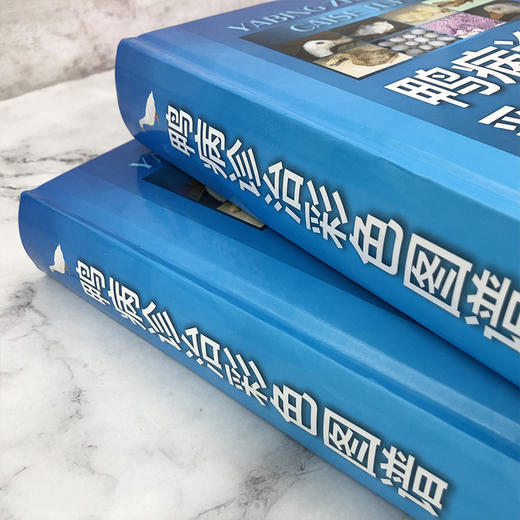 鸭病诊治彩色图谱 商品图3