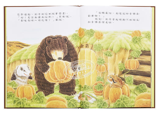 预售 【中商原版】森林里的好朋友 大熊与小睡鼠系列 福泽由美子 九童文化 插图童书 童话故事图画书 儿童绘本 港台原版 3-8岁 商品图5