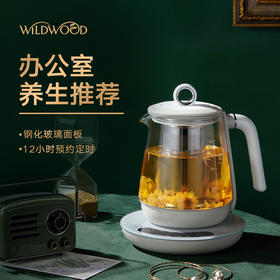 Wildwood-养生壶办公室养生电炖杯全自动多功能养生壶热牛奶小型加热水杯（液体加热器）