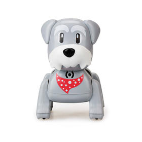 银辉  知趣雪纳瑞-查理  SLVC884760CD00101