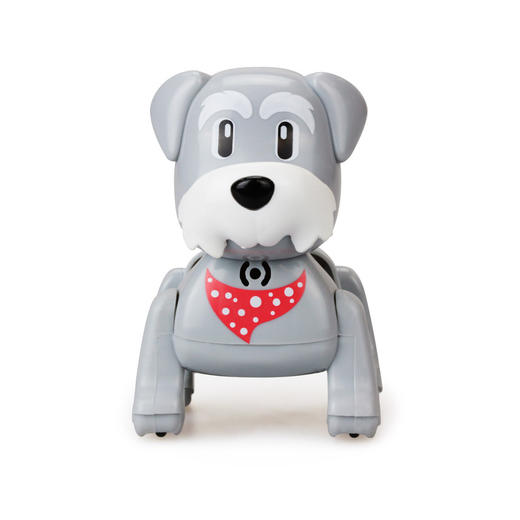 银辉  知趣雪纳瑞-查理  SLVC884760CD00101 商品图0