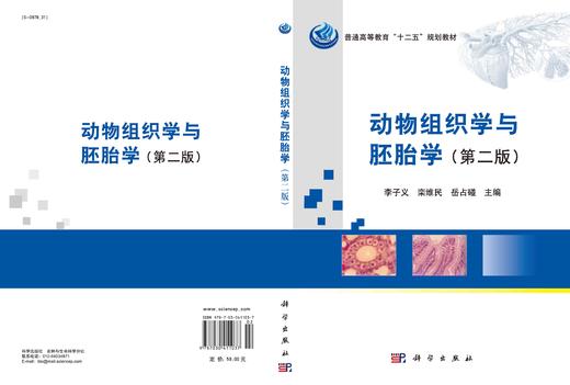 动物组织学与胚胎学/李子义 栾维民 岳占碰 商品图2