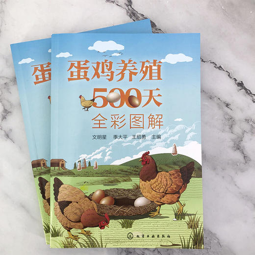 蛋鸡养殖500天全彩图解 商品图1