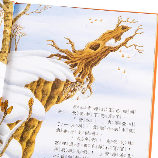 【中商原版】大熊与小睡鼠：春天的救援行动 福泽由美子 九童文化 港台原版 儿童故事绘本 亲子图画书 友情友谊 3-8岁 商品图3