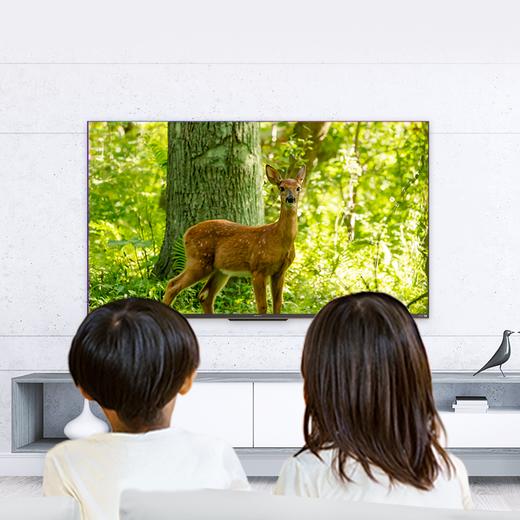 创维(SKYWORTH)55G22 Pro 55英寸4K超高清 护眼无边全面屏 全时AI智能语音电视 商品图2