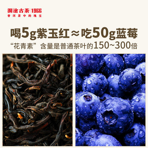 澜沧古茶2021年紫玉红大叶种功夫红茶100g 商品图3