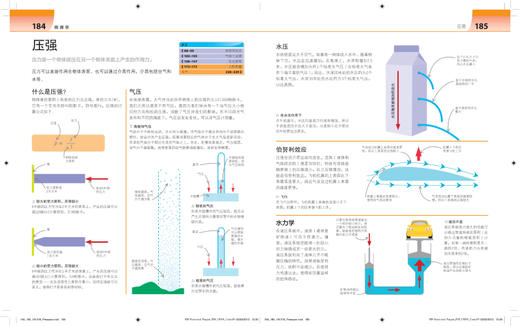 DK科学很简单 商品图3