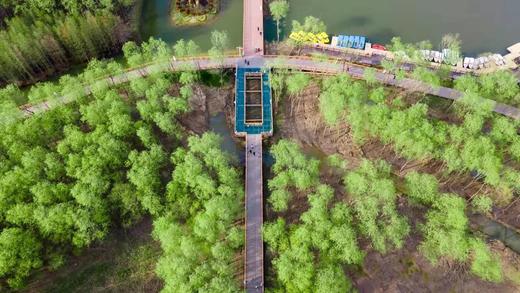 上海 ·崇明西沙湿地、奉贤海湾梅花、金山花开海上5天行摄之旅 商品图1