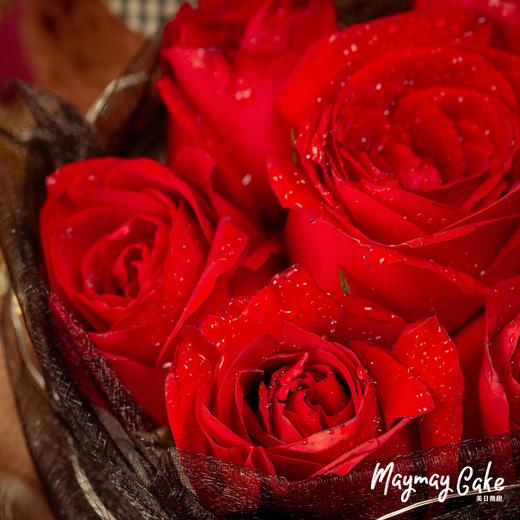 3887【情人节】“爱的熊抱蛋糕” 商品图2