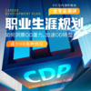 OD型HR职业生涯规划-CDP 商品缩略图0