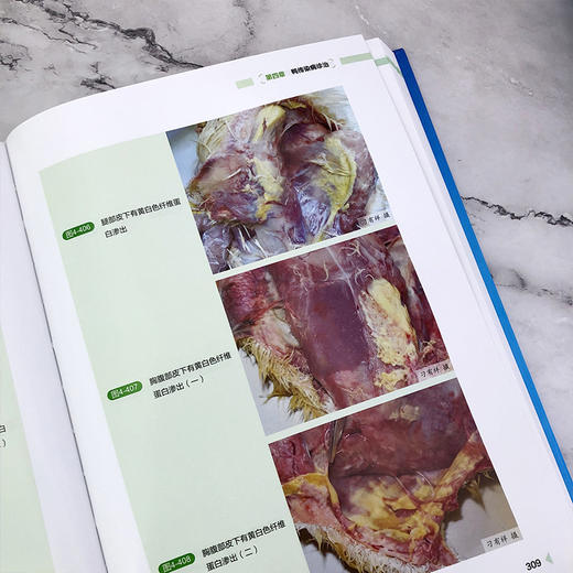 鸭病诊治彩色图谱 商品图6