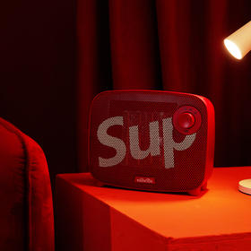 Wildwood-室内加热器