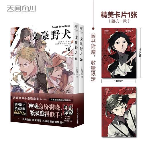 文豪野犬.19-20(全2册) 商品图0