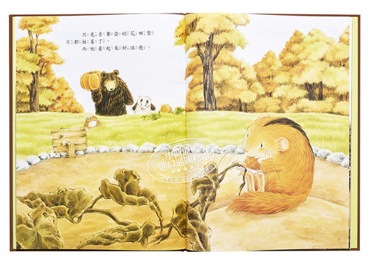 预售 【中商原版】森林里的好朋友 大熊与小睡鼠系列 福泽由美子 九童文化 插图童书 童话故事图画书 儿童绘本 港台原版 3-8岁 商品图4