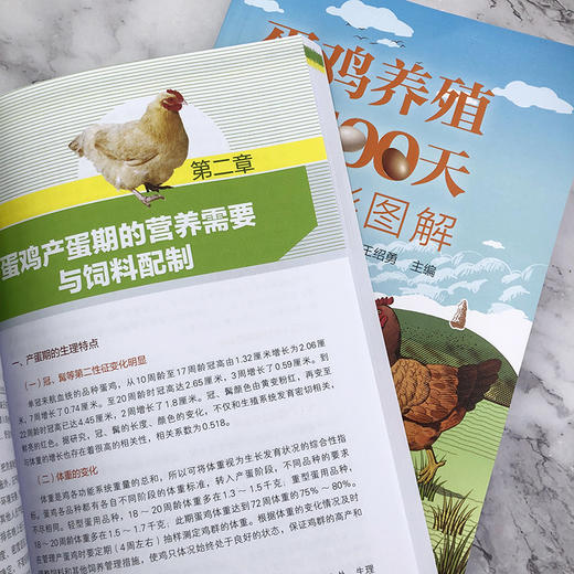 蛋鸡养殖500天全彩图解 商品图5