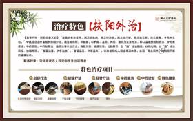 中医理疗  扶阳外治