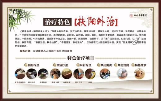 中医理疗  扶阳外治 商品图0