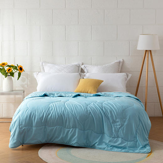 罗莱 LOVO 蓝色遐想水洗蚕丝被-R8066 200*230cm春秋被保暖被子夏凉被蚕丝被【 商品图0