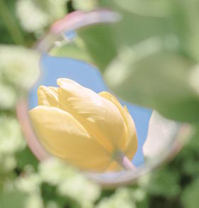 生育的正确理由是什么？