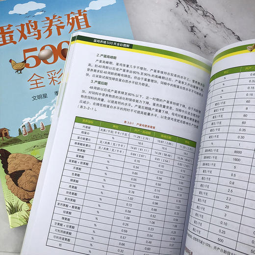 蛋鸡养殖500天全彩图解 商品图7
