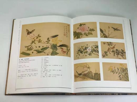《钱镜塘捐赠上海博物馆书画精品集》，陈燮君, 汪庆正 编，大16开精装221页，上海人民美术出版社2003年一版一印，定价260，售价248元。 商品图14