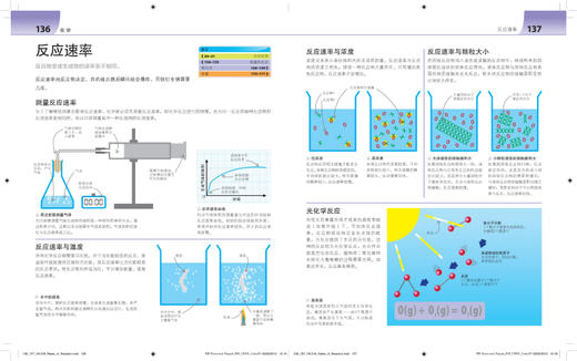 DK科学很简单 商品图1