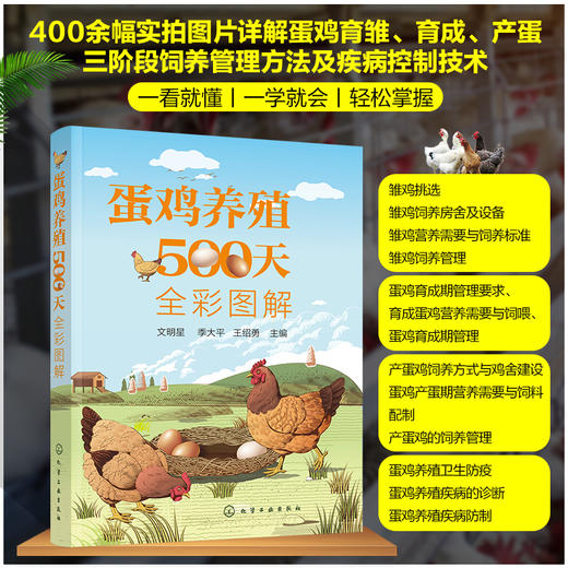 蛋鸡养殖500天全彩图解 商品图0