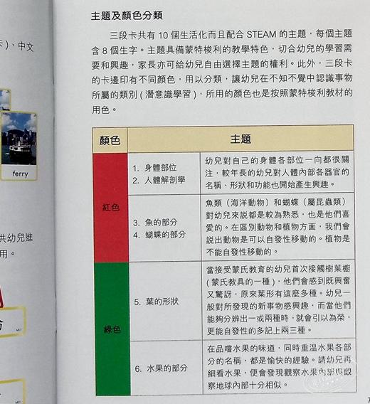 【中商原版】蒙特梭利STEAM三段卡认知识字学习套装 叶惠仪 新雅 幼儿百科 儿童语言启蒙 港台原版 亲子教学 商品图8