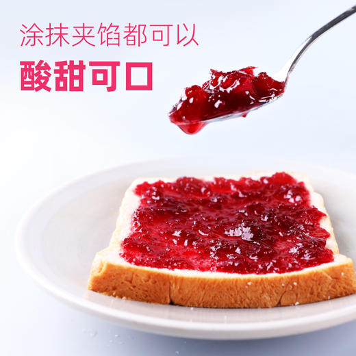 【蔓越莓果酱】早餐烘焙酸奶面包涂抹酱 228克、958克 【包邮】 商品图3