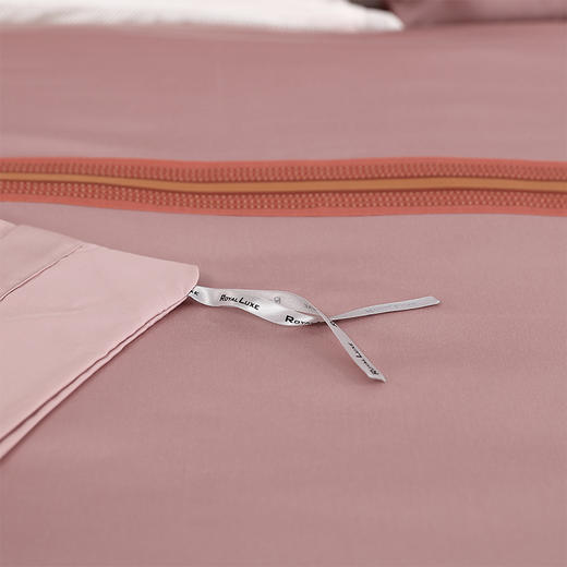 贝斯颂埃及长绒棉色织大提花四件套 商品图3