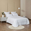 罗莱 LOVO 玉颜奶昔蚕丝被RJ8158 200*230cm春秋被保暖被子夏凉被蚕丝被 商品缩略图0