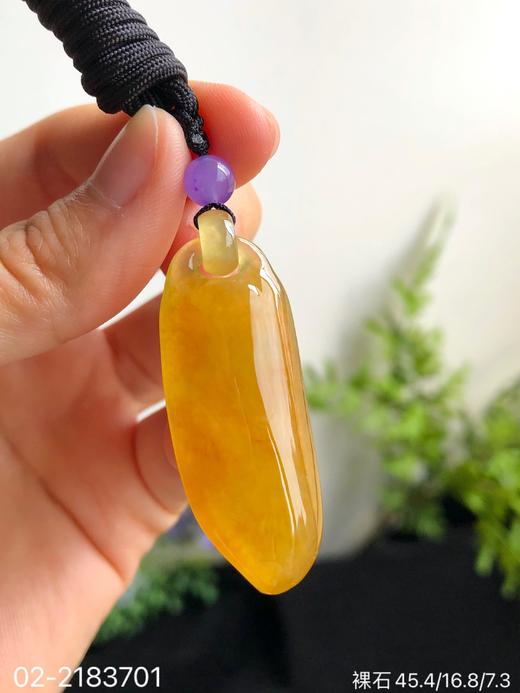 高冰黄翡福瓜裸石【02-2183701】具体价格微信咨询 商品图2