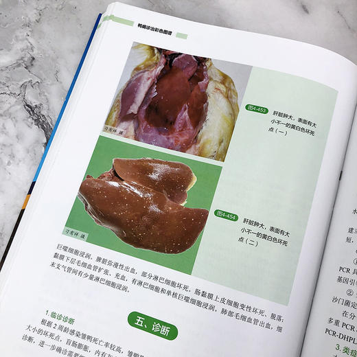 鸭病诊治彩色图谱 商品图11