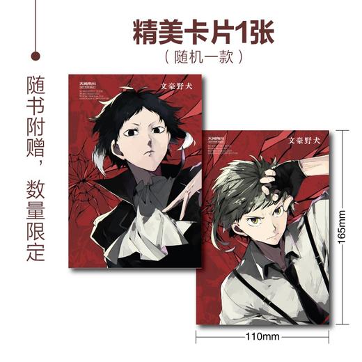 文豪野犬.19-20(全2册) 商品图1